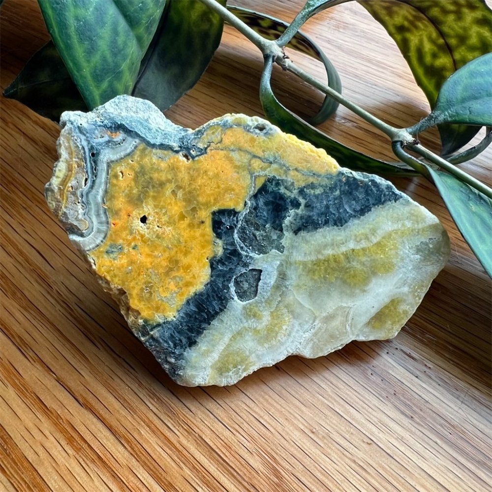 Bumblebee Jasper Crystal Freeform Raw Natural Polished on One Side witchy boho
